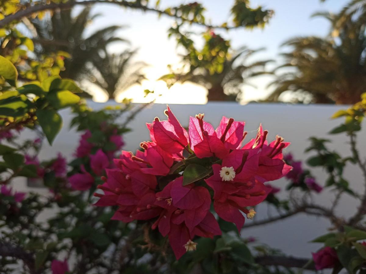 Casa Rosa Villa Puerto Calero Exteriör bild